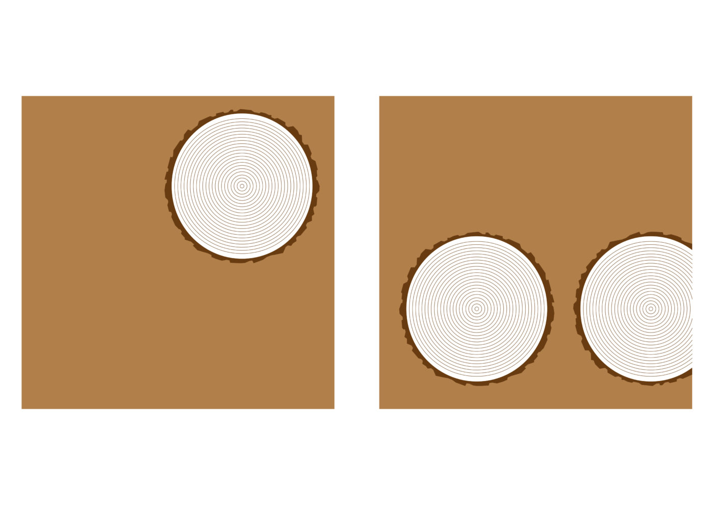 variaciones logo jon 7